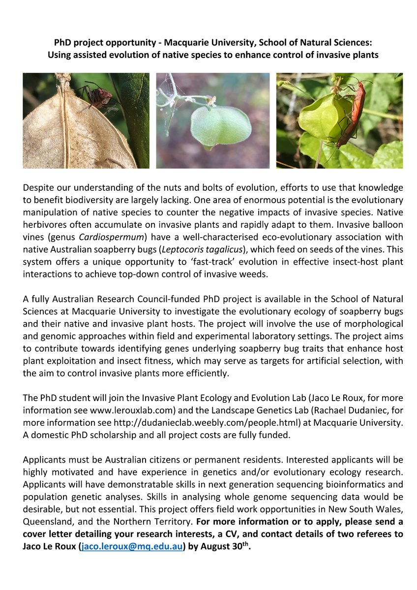 Together with @rdudaniec, I  am recruiting a PhD student to work on the eco-evolutionary genomics of #rapidevolution of #invasiveplant-insect interactions @mqnatsci under an @arc_gov_au grant. Please RT and apply. Starting 2023. #phdpositions