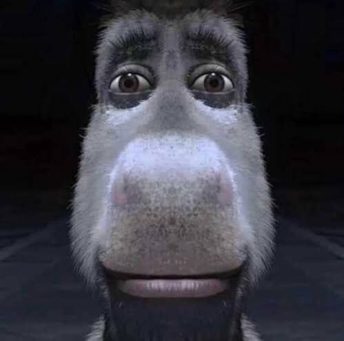 _rumbera_'s tweet photo. La cara del tipo que se te acerca mucho cuando bailan bachata https://t.co/6de8ak5cIY