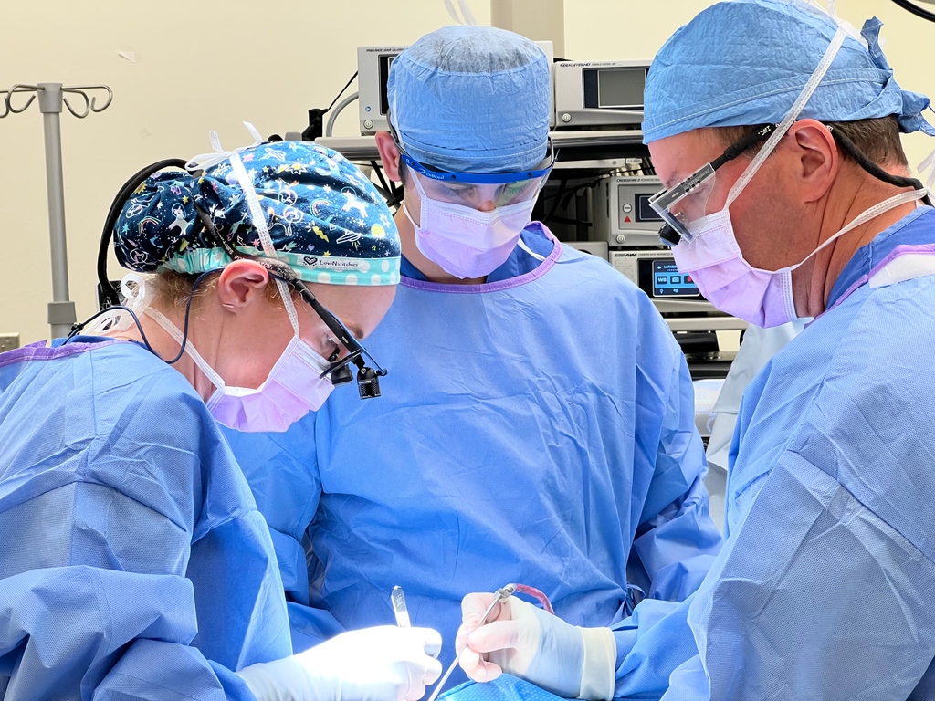 💀 It's National Cleft &amp; Craniofacial Awareness Month &amp; we're shining a light on our CCF surgeons. First is Dr. H. Peter Lorenz, seen below guiding PGY-5 Dr. Ruth Tevlin in marking a patient using the "Fisher Subunit Repair Technique" during a cleft lip repair.