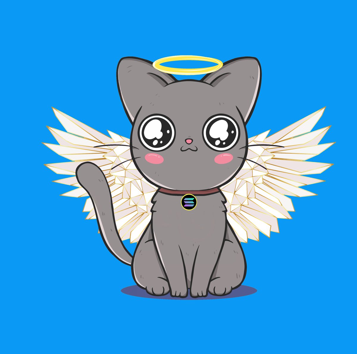 She's a angel 😇
#solana #SolNFT #NFTCommunity #catnft #MagicEden