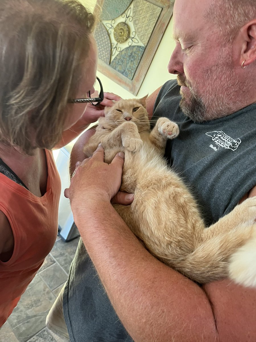 taylorakale's tweet photo. When your parents claim “these aren’t my cats” but you see it differently https://t.co/YImRwLQBd3