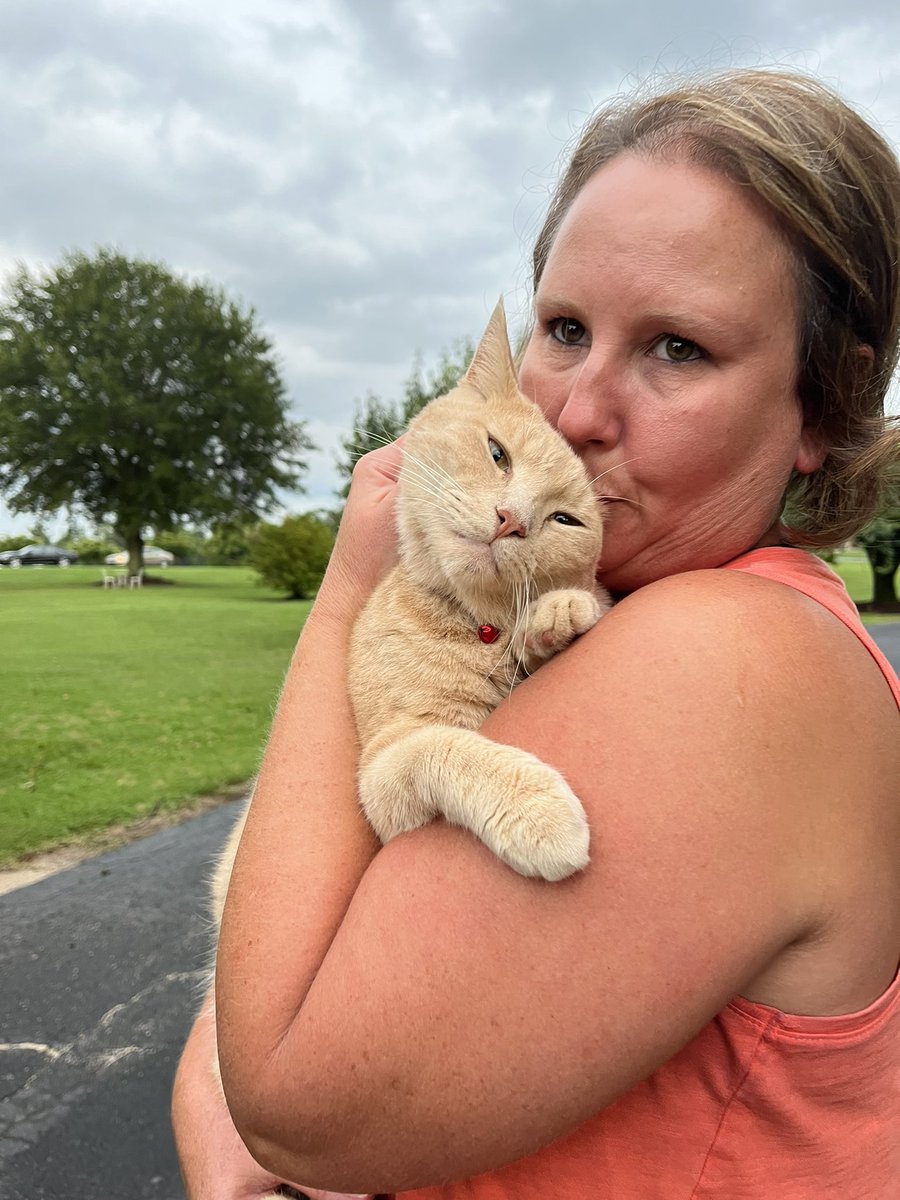 When your parents claim “these aren’t my cats” but you see it differently