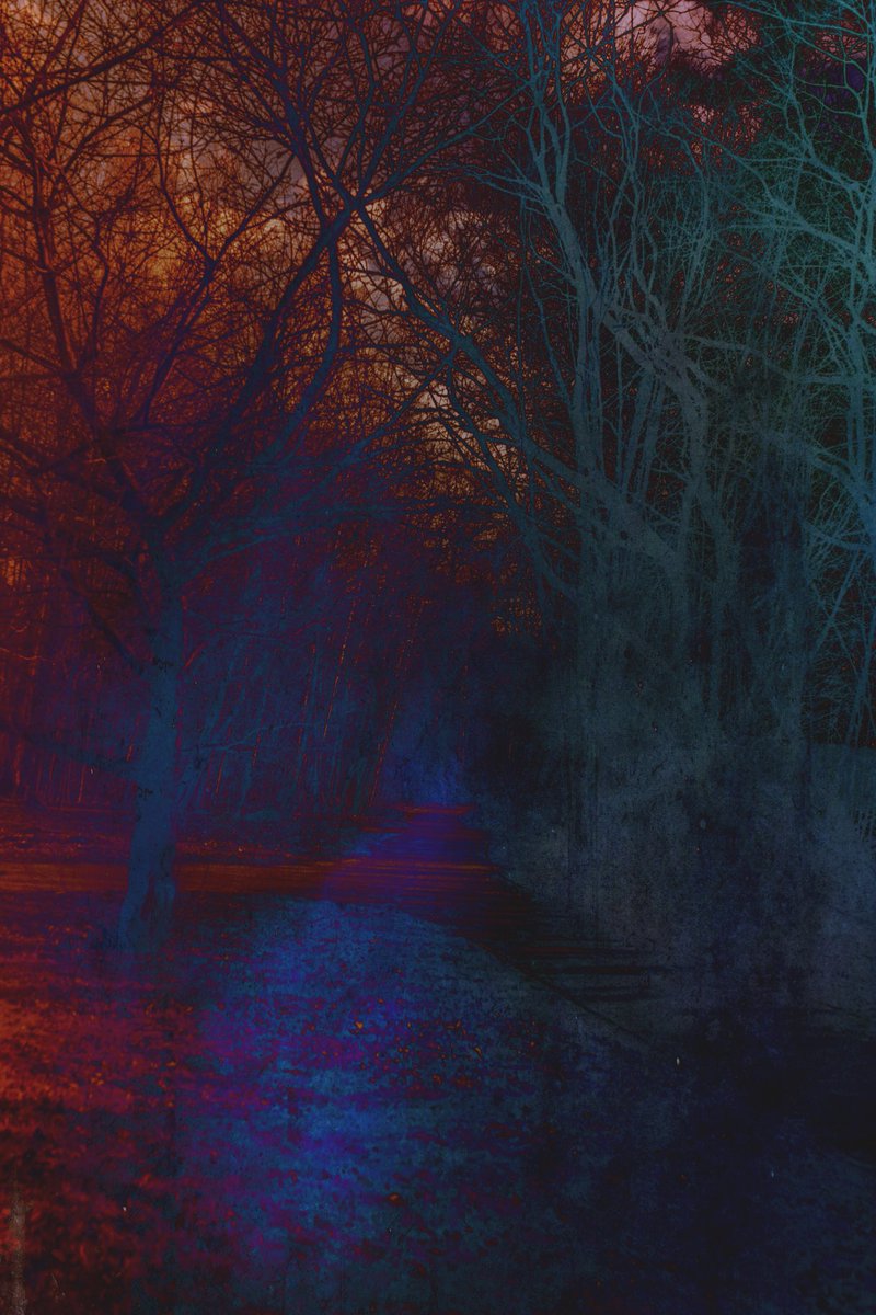 bodysperishable's tweet image. Hello friends, I want to share with you my “Dark Trees” series 🖤 future #nftart #nftarti̇st #cryptoart #cryptoartist #nftfamily #nftcreator #NFTartwork #nftcommunity #nftproject