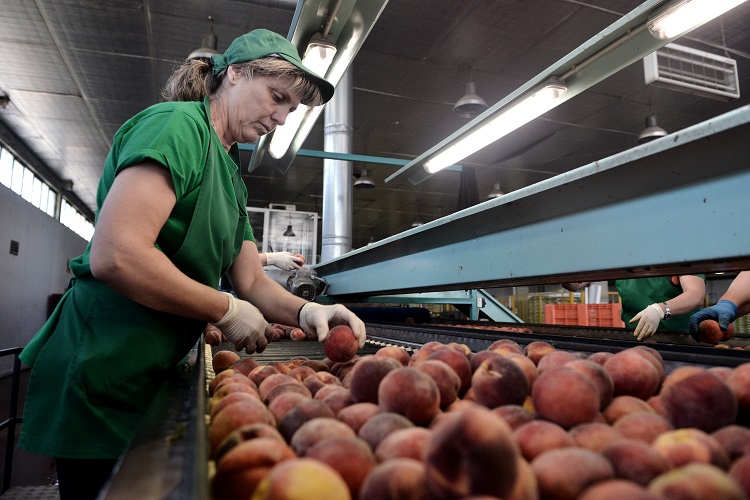 Equal Times ⏸️ tweet media