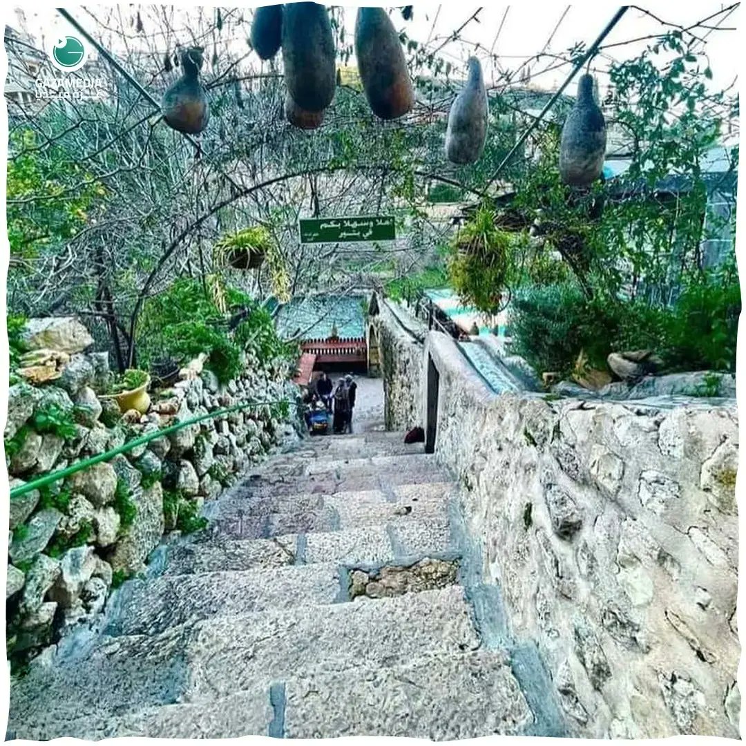 Gazamediaa's tweet photo. Keindahan Desa #Battir di Betlehem, #Tepi_Barat.
- - -
The beauty of Battir village in #Bethlehem, the occupied #West_Bank.
- - -
جمال قرية #بتير في بيت لحم #بالضفة_الغربية المحتلة. https://t.co/CLVAWpuoJc