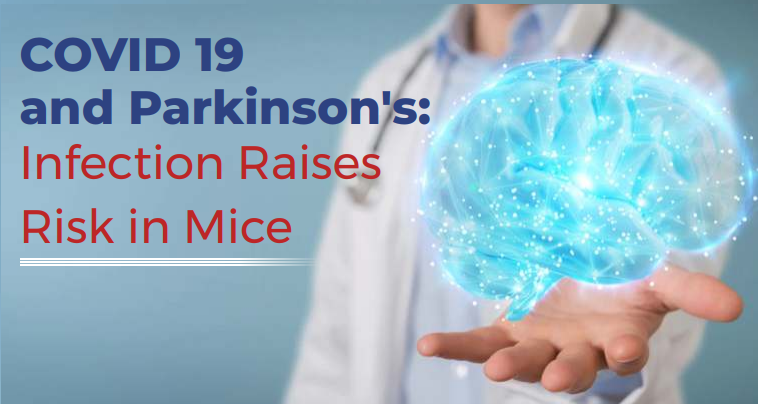 DrscEditorial's tweet photo. Researchers from Thomas Jefferson University found evidence via mouse model indicating SARS-CoV-2 infection leads to higher risk of developing Parkinson’s disease
Read full article at- https://t.co/MfOrkY9sjb
For more info reach us at-  https://t.co/7MQ4VUHDXt
#Covid #Covid19 https://t.co/eVZLbxa8YF
