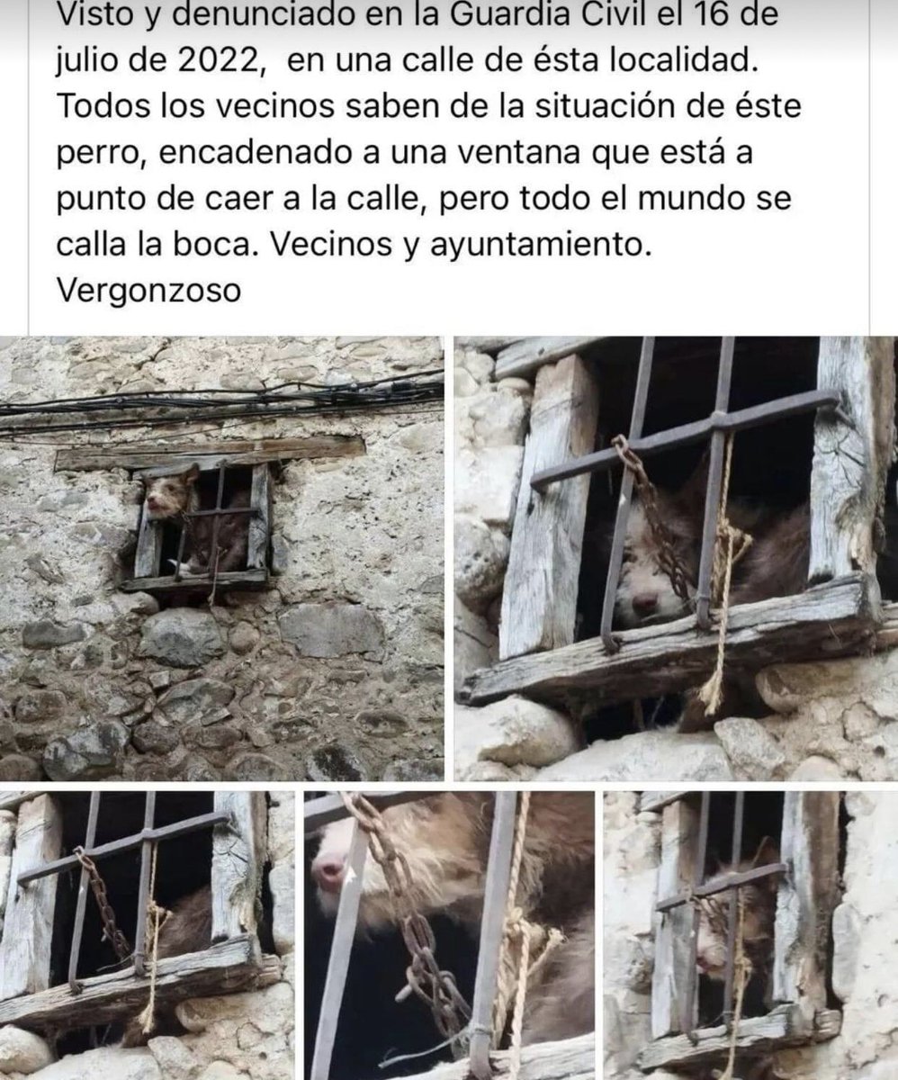 beadifusiones's tweet photo. 🆘🆘🆘🆘🆘🆘LA RIOJA! Calle Francisco Zabala 19 Villoslada de Cameros !!!!!!!! https://t.co/9B8YETfGVj
