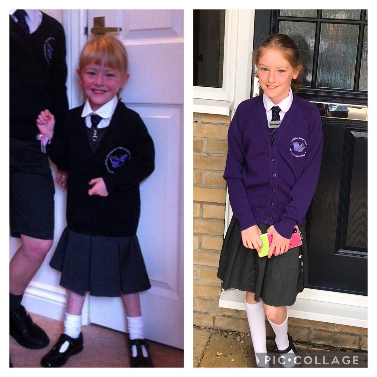 Mark Francis tweet media