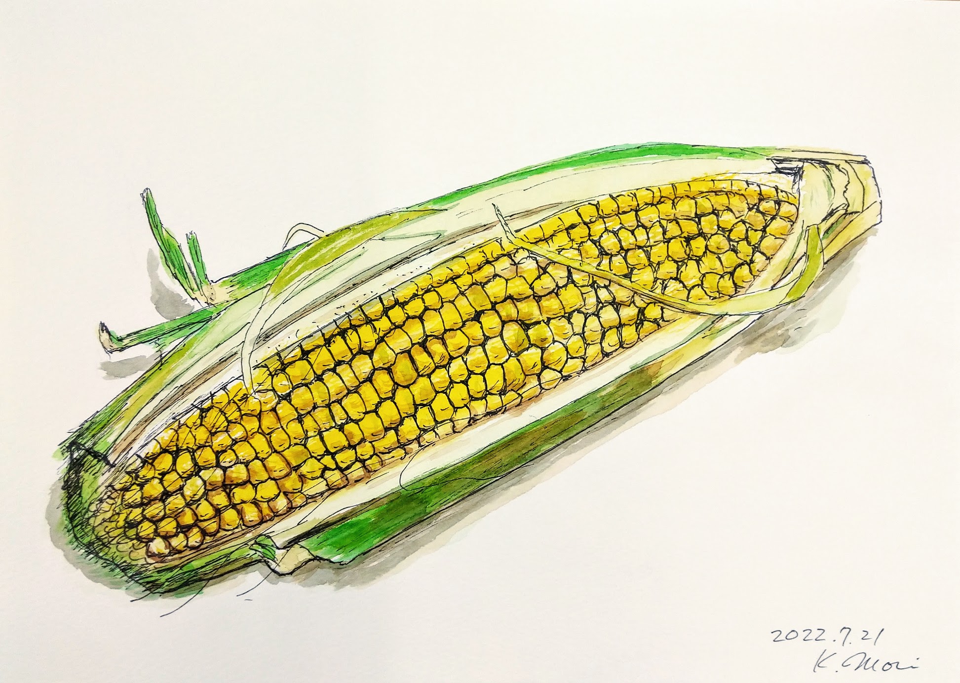 アトリエガーデン 昨日は おとな絵画 がありました とうもろこしを水彩絵の具で描きました T Co 3rgigqjqxr Twitter