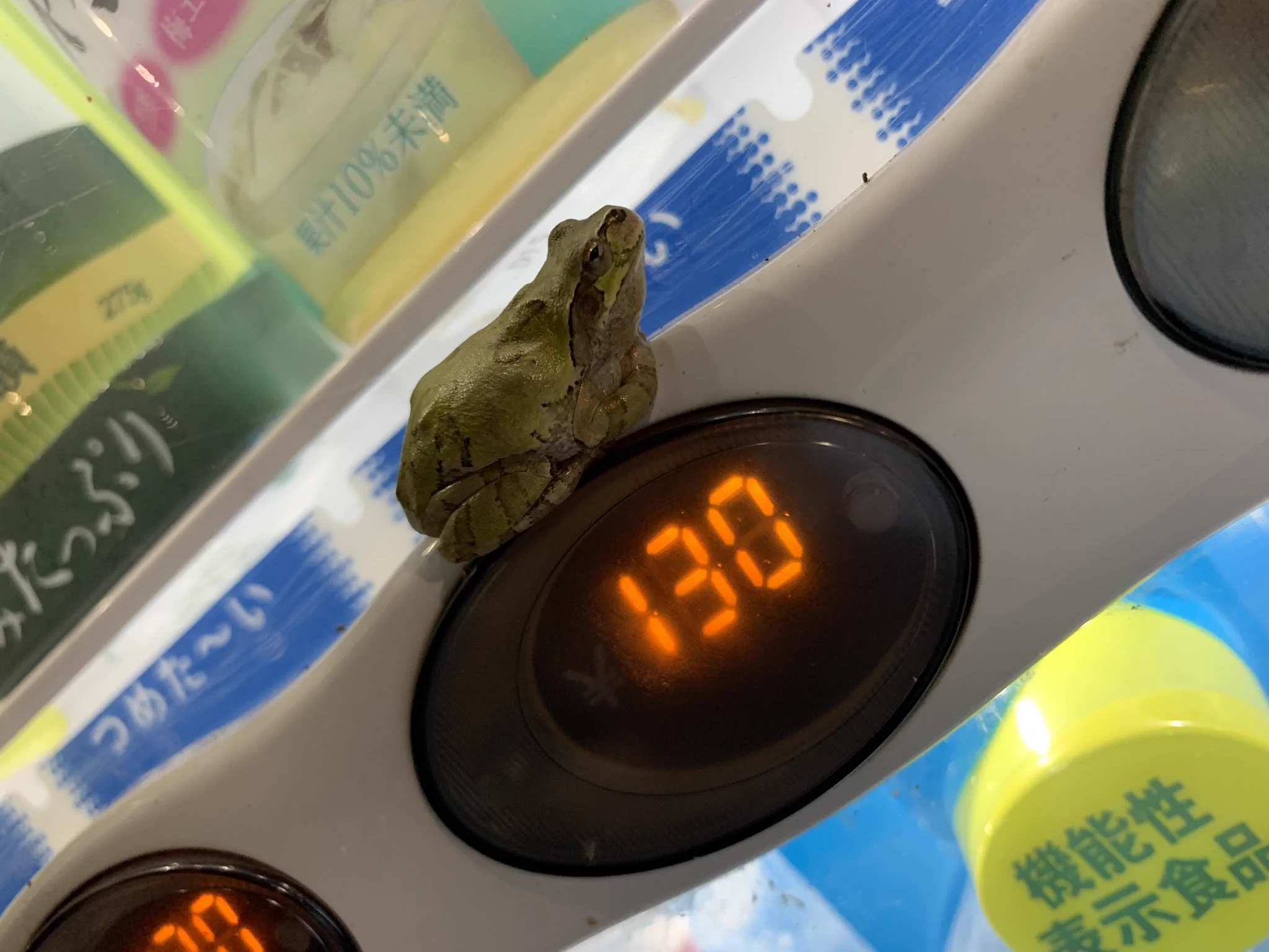 @reoreiko 130円で売ってました 
