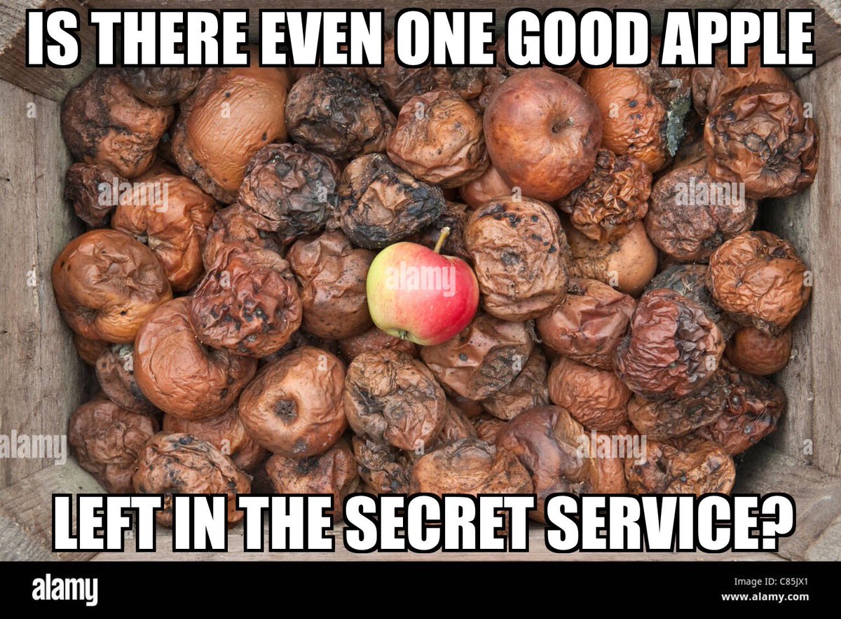 banaltwittbimbi's tweet image. Secret Service Gone Rogue -  #DefundTheSecretService #DefundSecretService NOW

DEFUND THE SECRET SERVICE :