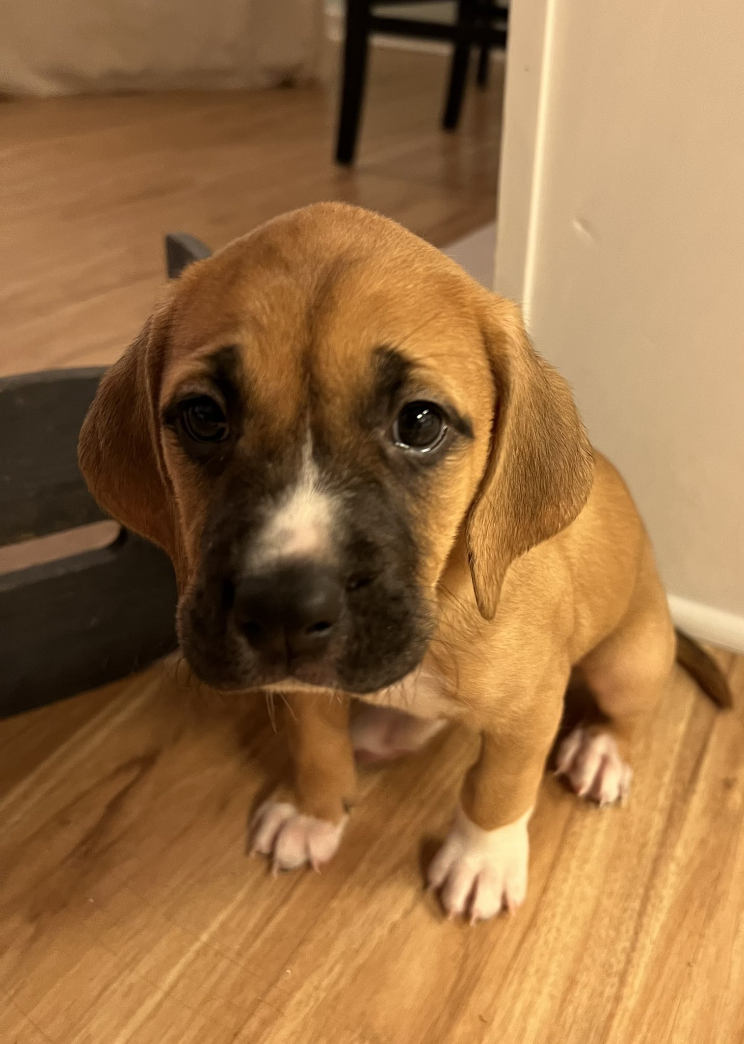 Catturd On Twitter - 9djlqz0