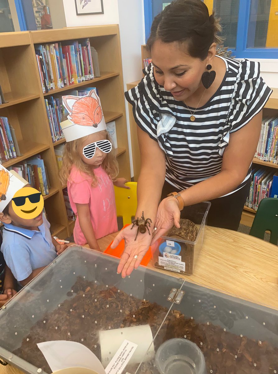 CastleHillsLib's tweet photo. We had a lot of excitement on this second day of school as some students got to observe a tarantula up close! @CHE_NEISD @NEISDLibrary #elementarylibrarian https://t.co/IxPh0HHLx2