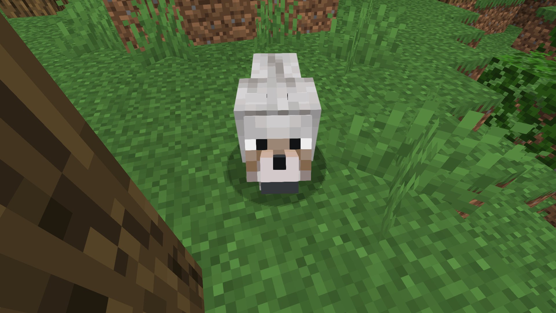 Follow マイクラアニメのたか工房 Youtuber S Tacaslab Latest Tweets Twitter