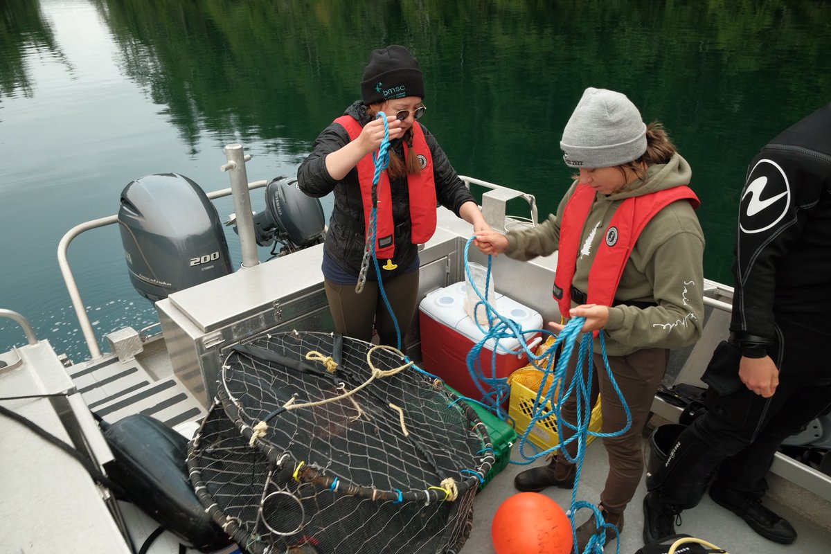 kiarakattler's tweet photo. The field work continues looking for crabs with a great team 🦀 Thank you @sherryoung_ for the beautiful photos https://t.co/VmxCttXkWP