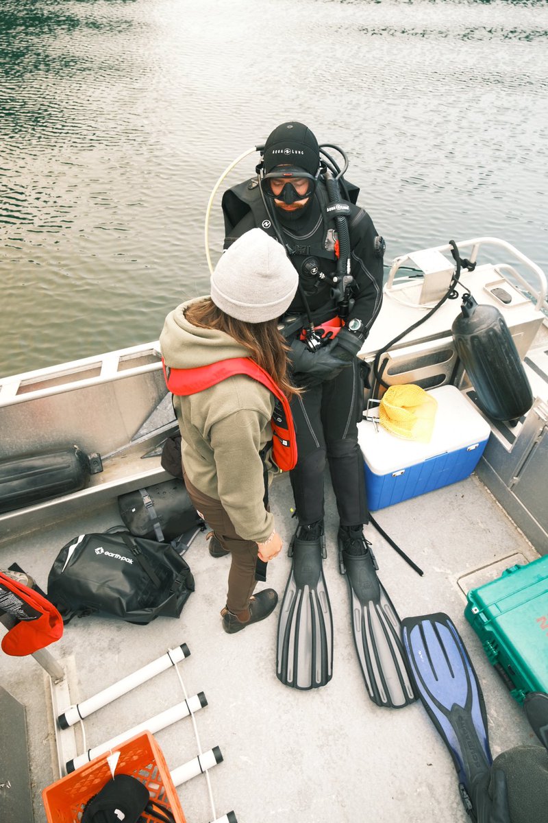kiarakattler's tweet photo. The field work continues looking for crabs with a great team 🦀 Thank you @sherryoung_ for the beautiful photos https://t.co/VmxCttXkWP
