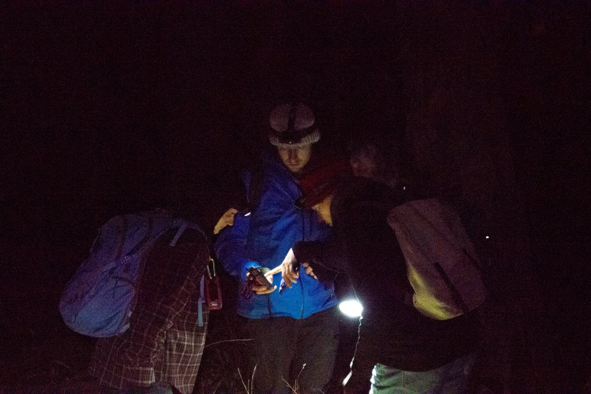 alliance_forest's tweet photo. Wonderful weekend w/ @GEG_2022, @FriendsBats &amp; @WOTCHinc in the forests of Mt Alfred on Gunnai Country surveying for endangered Greater Gliders &amp; rare plants. 

Support the landmark case run by passionate community groups to protect gliders from logging: https://t.co/ArNksSaVpV https://t.co/7OEMdidLMy