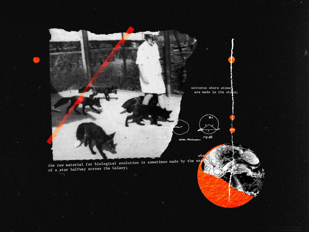 josh_jroberts's tweet image. Recently got a fox tattoo and the universe has been on my mind.