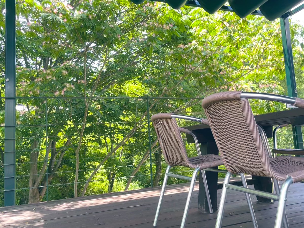 blue06559270's tweet photo. ネムノキの見えるテラス席
　※タップ推奨！

#photo #nature 
#写真で伝える私の世界
#Persiansilktree https://t.co/1ZCIAP4zoI