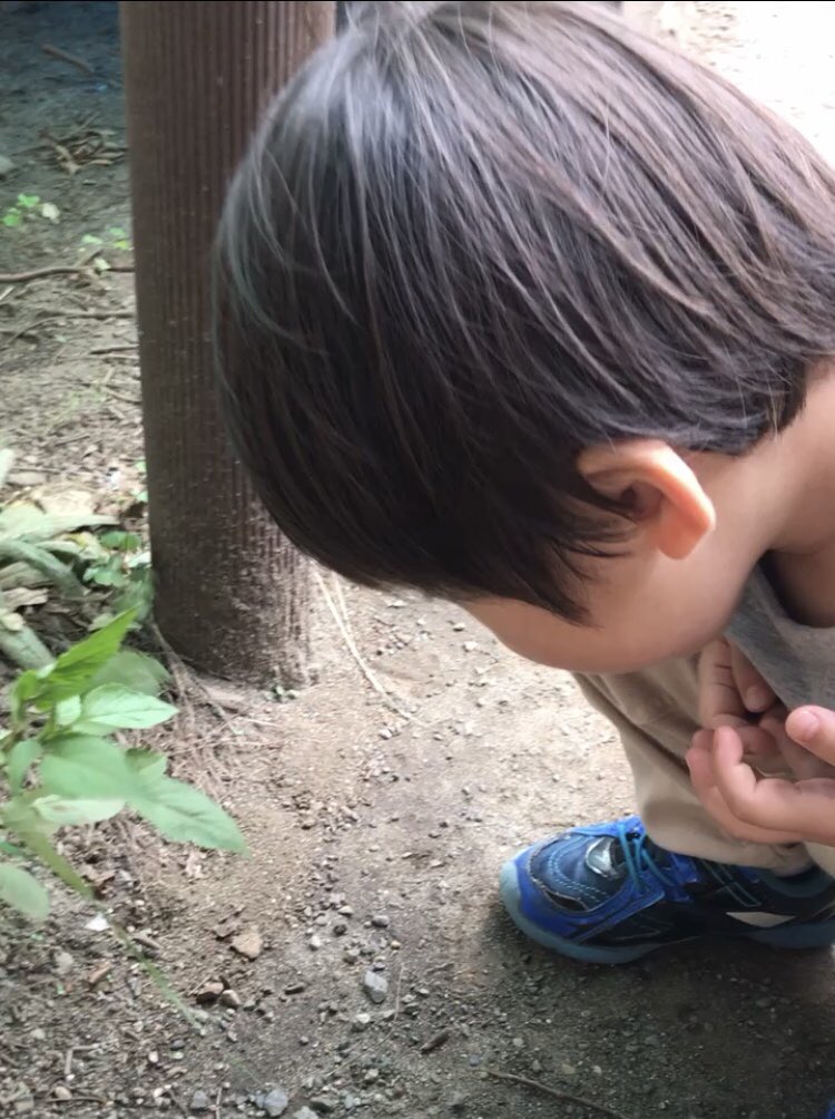 ばいゆのつぶやき 2歳1歳ママ Baiyu Tsubuyaki Twitter