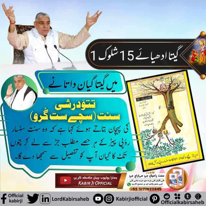 #TrueGuruSaintRampalJi

گیتا ادھیائے 15 شلوک 1 میں گیتا گیان داتا نے تتوَدرشی سنت (سچے ست گُرو) کی پہچان بتاتے ہوئے کہا ہے کہ وہ سنت سنسار روُپی پیڑ کے ہر حصے مطلب جڑ سے لے کر پتوں تک کا گیان آپ کو تفصیل سے سمجھا دے گا۔