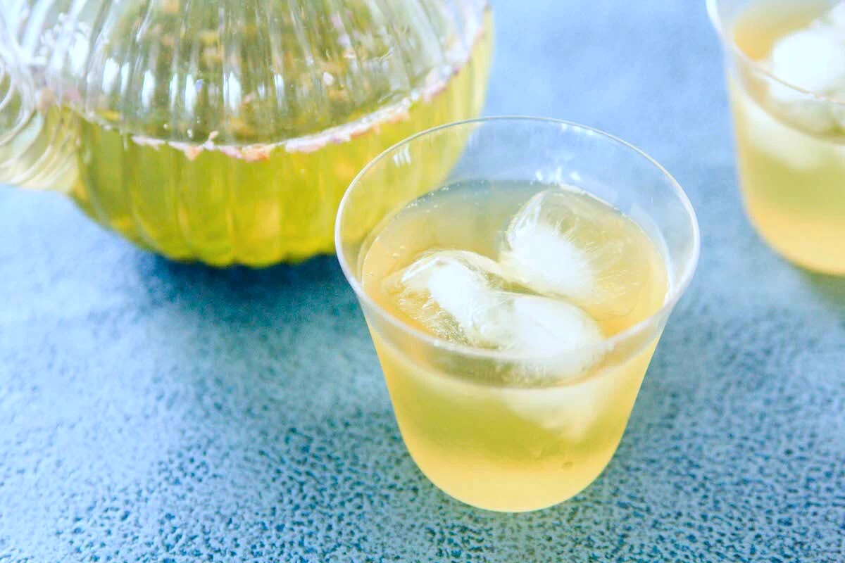 苦み･渋みが抑えられ、すっきりした味わいに仕上がる？！氷出し緑茶の作り方！