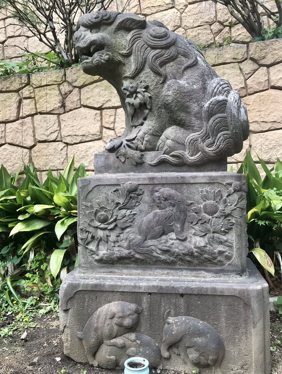 狛犬のアクリル画制作に取り掛かります。

写真は参考のために目黒不動尊に見に行った狛犬さん達。

有田焼で有名な佐賀県有田町の陶山神社には、磁器製の狛犬さんがいらっしゃるそうなので、ぜひ見てみたい。 柴田亜美

#狛犬
#art 