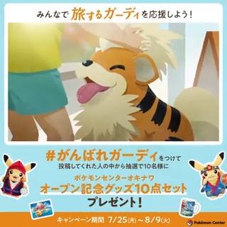 ポケモンセンター公式ツイッター ポケモンセンターオキナワ のプロモーション動画が公開 動画を見て プレゼントがもらえるキャンペーンに参加しよう 応募方法 1 Pokemoncenterpr をフォロー 2 がんばれガーディ を付けて 動画のガーディへ
