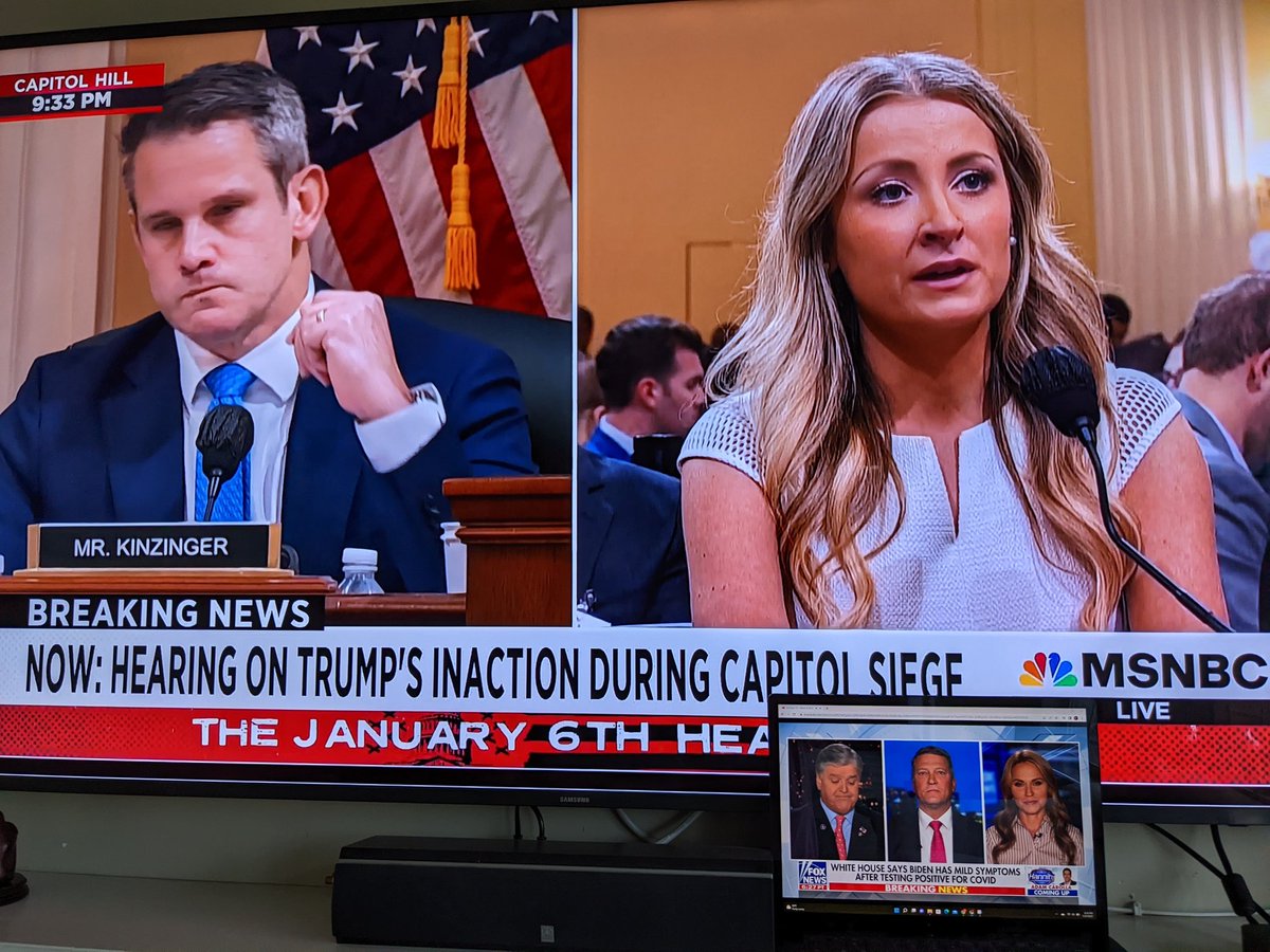 yzlamas's tweet photo. @maddow @CNN @MoveOn #boycottfoxadvertisers #FOXtearsUSA while all other network cover Jan 6 hearing https://t.co/zelCuhuRFl