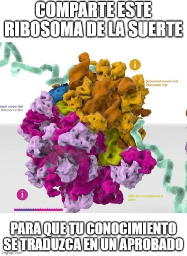 Como olvidar las cábalas de BCM