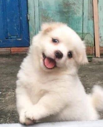 이거 형준이야💕

행복한 아들                  행복항 강쥐