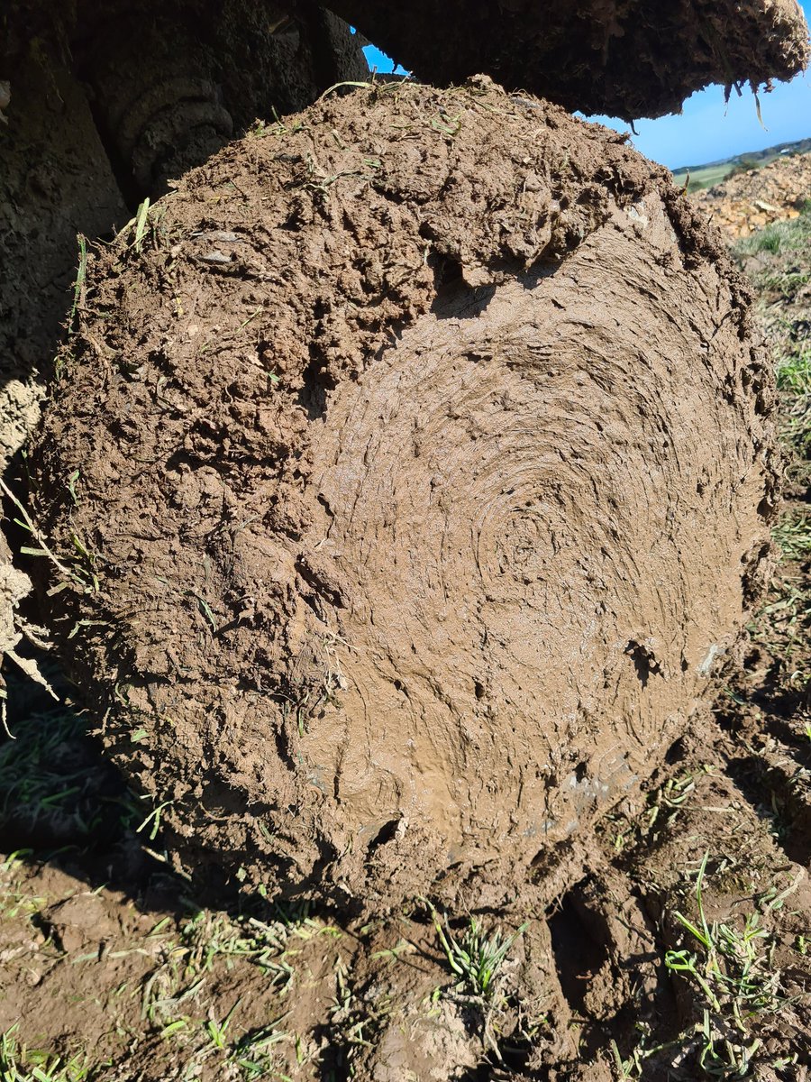 Ahhh, it's good to be back on top of the mud (rather than stuck in the mud)