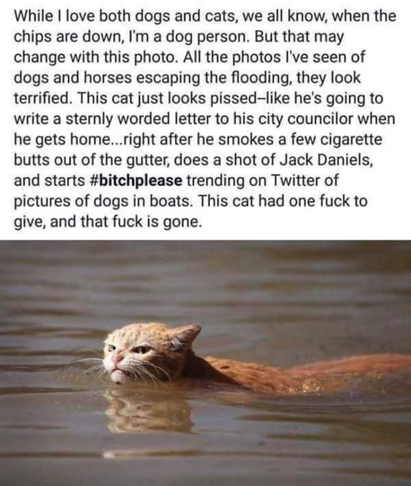 <a href="/sueb91/">Sue B</a> <a href="/nancybaym/">Nancy Baym is not here</a> my favourite caption to that photo: