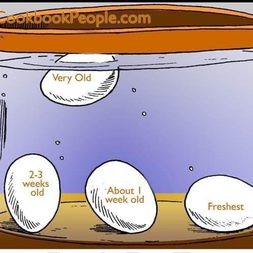 MidwestChickens's tweet photo. How to tell if your liquid chickens are still good🥚#egg #eggs #chickens #food https://t.co/2phiQx3llZ