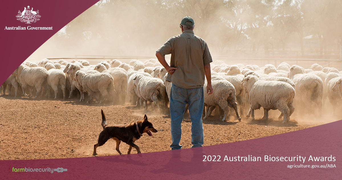 Nominations for the 2022 #AusBioAwards are now open! 

If you know an individual, group or organisation that deserves to be recognised for their contributions to Australia’s #biosecurity, nominate them today at agriculture.gov.au/ABA 🏆🎉 @planthealthaust