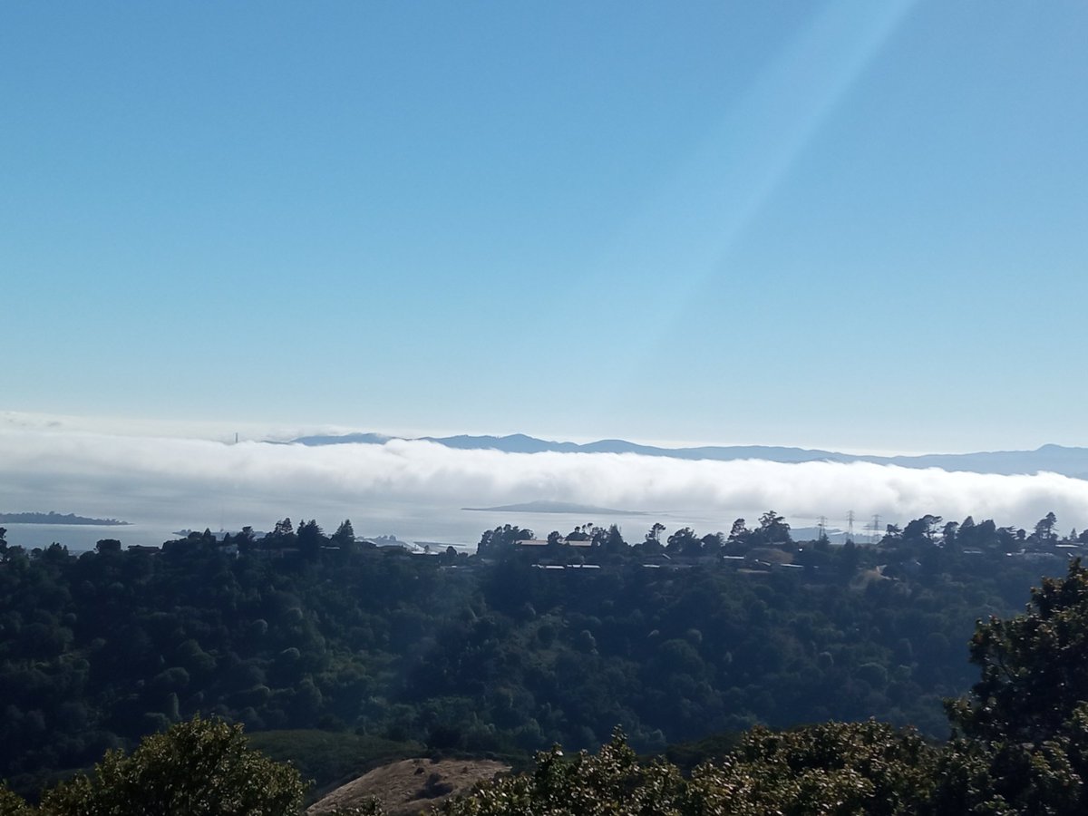 Alejandra Medina-Rivera tweet media