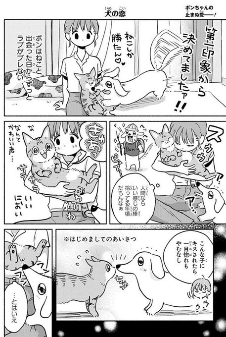 犬猫コミックエッセイまとめ売り 犬猫漫画 エッセイ 2冊セット｜Yahoo!フリマ（旧PayPayフリマ）
