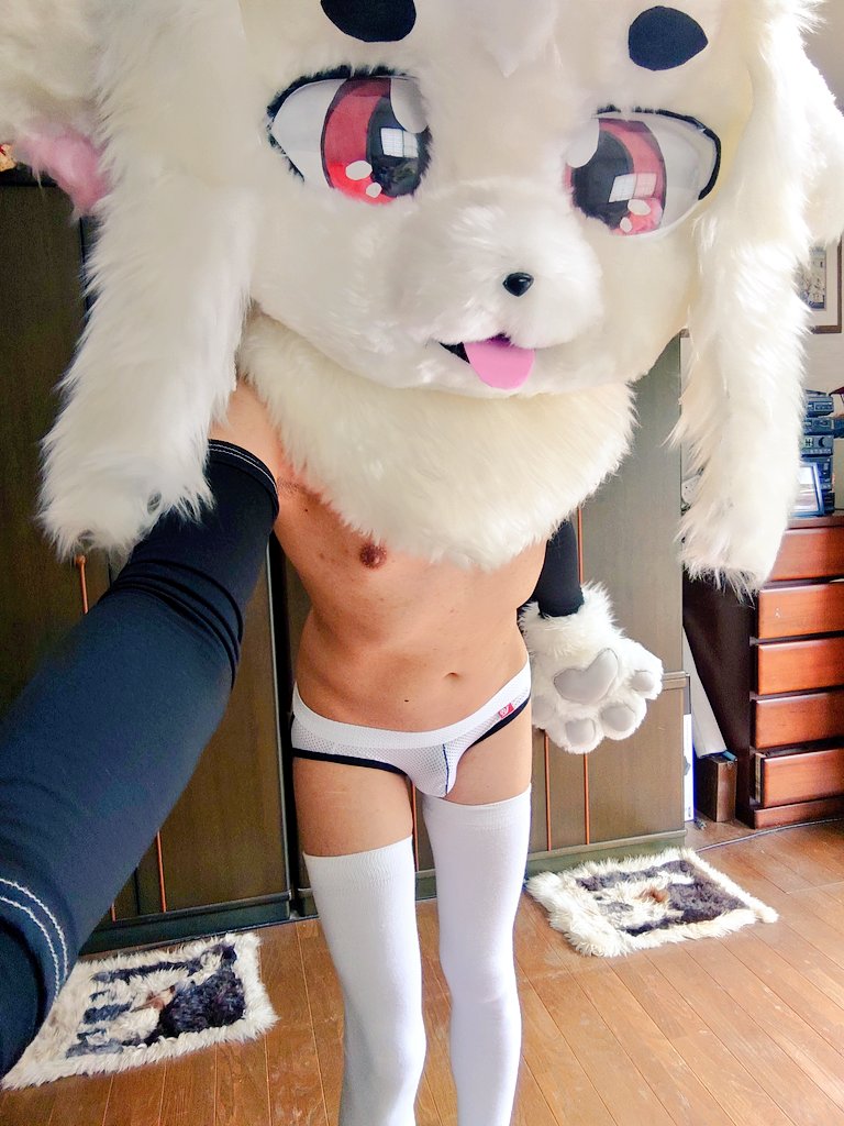 PlushBukkake's tweet photo. 今日は毛皮の金曜日
エッチでニッチなアカウントだから僕は表に出ることはないけれど、Fursuit ✕riday🐾って一度は言ってたい https://t.co/2E19amk4SF