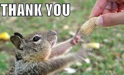 Welcome to our new Twitter follows: <a href="/bjpatterson13/">Benny Patterson Jr</a> <a href="/Wood_life_uk/">Wood_life_uk</a> <a href="/chimintelligent/">BZKJ</a> <a href="/ApartmentAssur1/">ApartmentAssured🏘</a> <a href="/Indianarmy0202/">Indian</a> <a href="/boutique_britt/">Brittscustomcrafts49</a> <a href="/RazakiTravel/">Razaki Travel Expeditions</a> <a href="/globe_tires/">TiresGlobe</a> <a href="/PrettyLittlecr2/">design’ a bear</a> <a href="/Mathilda_io/">mathilda</a> <a href="/VeraWil45/">Gwillsfx</a> <a href="/Reign_tech2/">Timothy</a> @SpecialtiesUwi 

Posted via <a href="/ireviewcube/">The Cube</a> social media platform