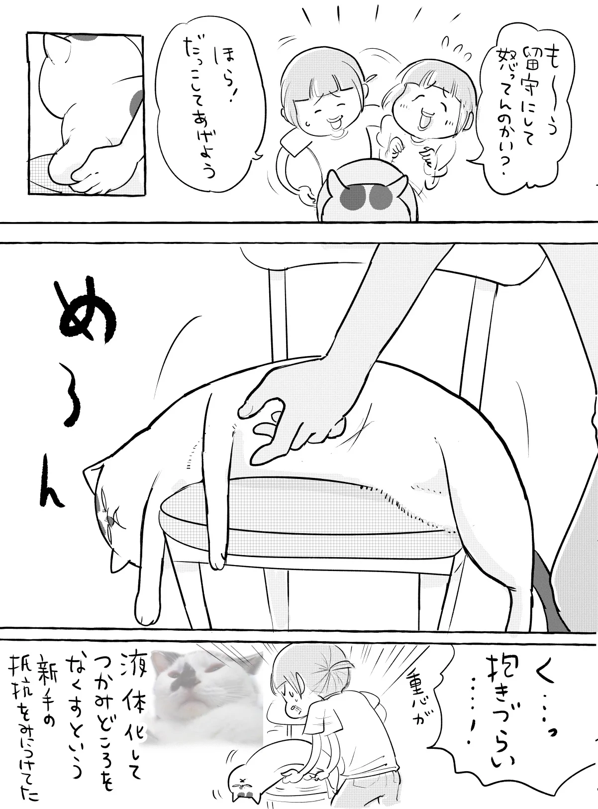 久しぶりに会ったらこんなんなってた！進化がとまらない猫