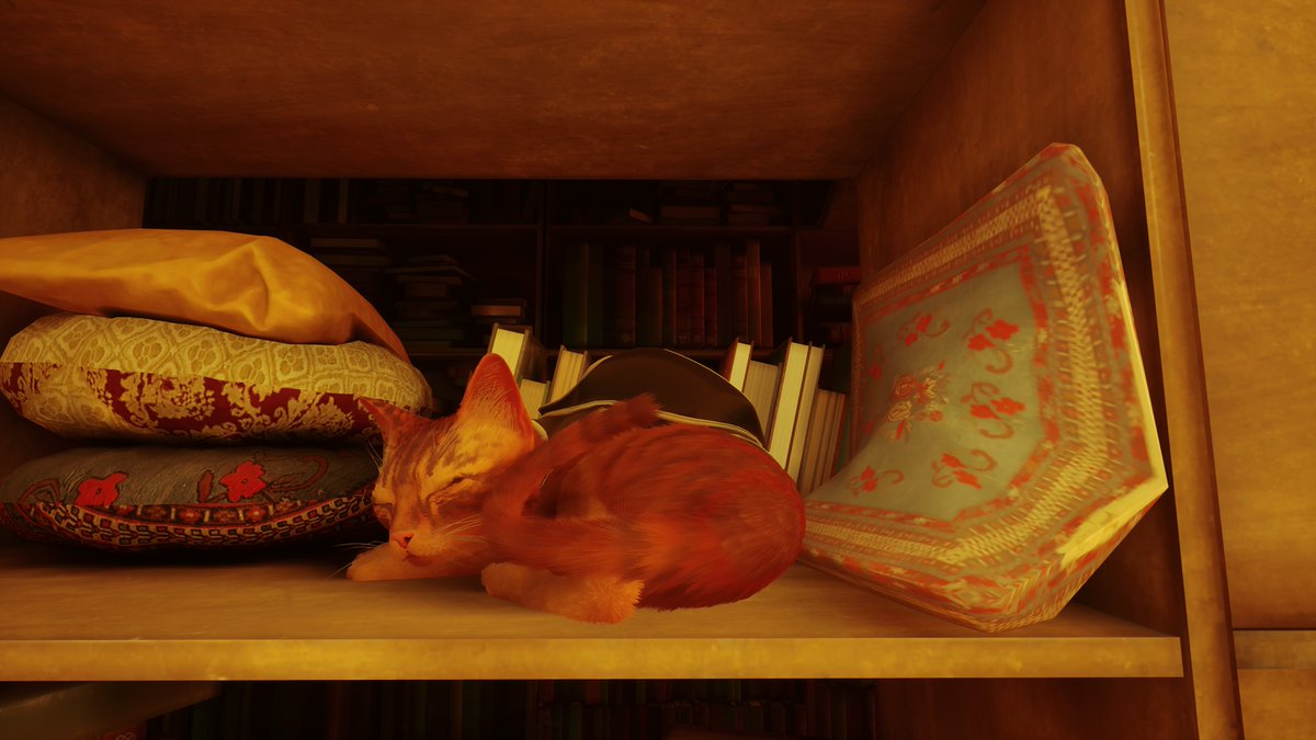 Marisfelica's tweet photo. Don't be shy #VirtualPhotography #VPRetweet #VPRT #ZarnGaming #ZVPCollection #VPContext #TheCapturedCollective #VGPNetwork #PhothoMode #PS5Share #Stray https://t.co/msVbo2PK8v