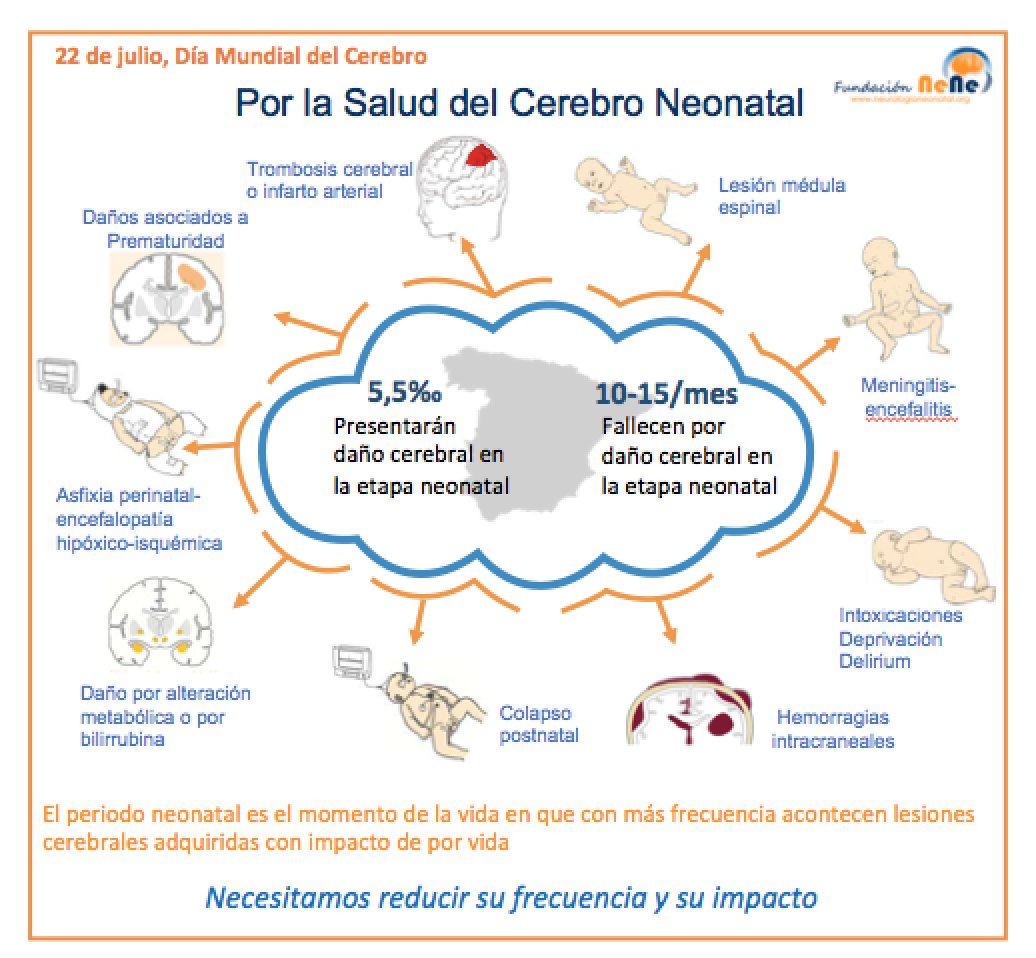Fundación NeNe tweet media