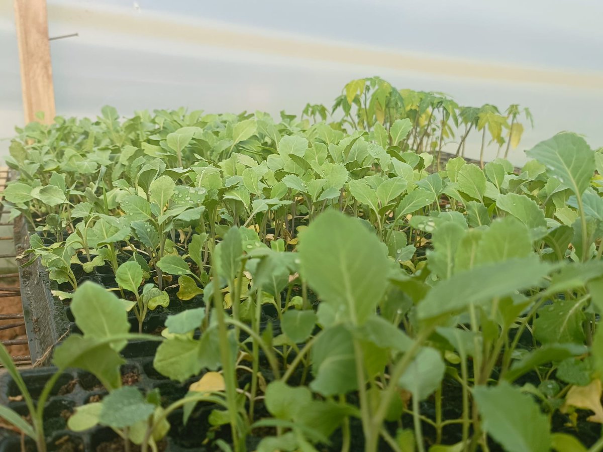 TransFarm Ventures tweet media