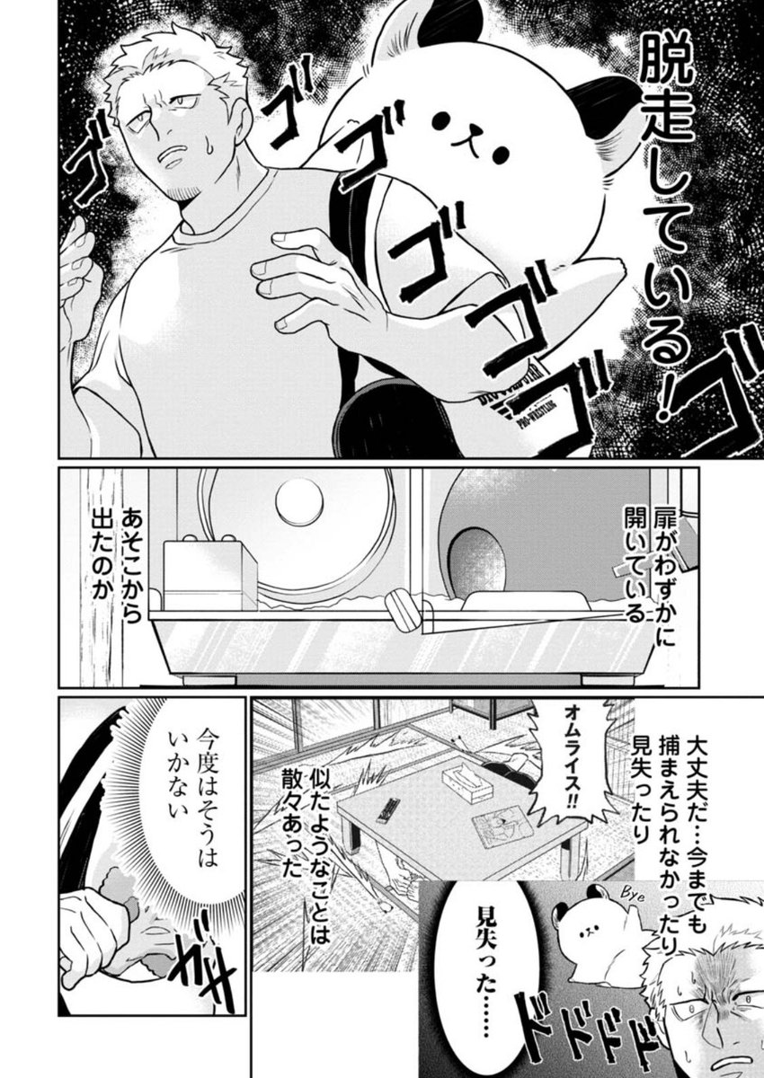#悪者さんちのハムスター
第13話「オムライス脱走事件」がくらげバンチにて公開されました🐹🐻
https://t.co/qiI16sN6kq
脱走してしまったオムライスは一体どこに…!?
単行本も発売中です!
https://t.co/B2zb97vbaj
ぜひよろしくお願いします。