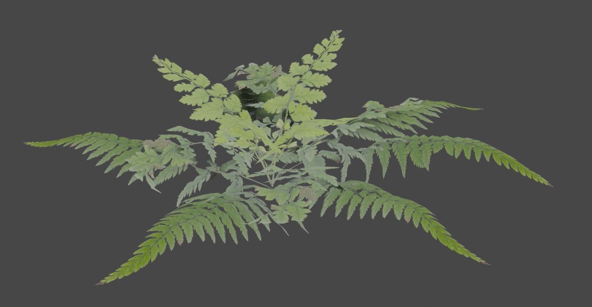 MxtchaMintz's tweet photo. I started making realistic plant models in blender!
#3Dmodel #blender #blender3D #BlenderUnity #Vrchat #Vrchatmap #mapbuilder #developer #gamedeveloper #blendervrchat #unityvrchat https://t.co/kAaaubxKZD