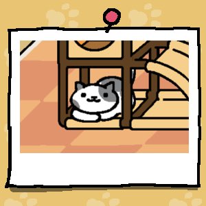 #ねこあつめ