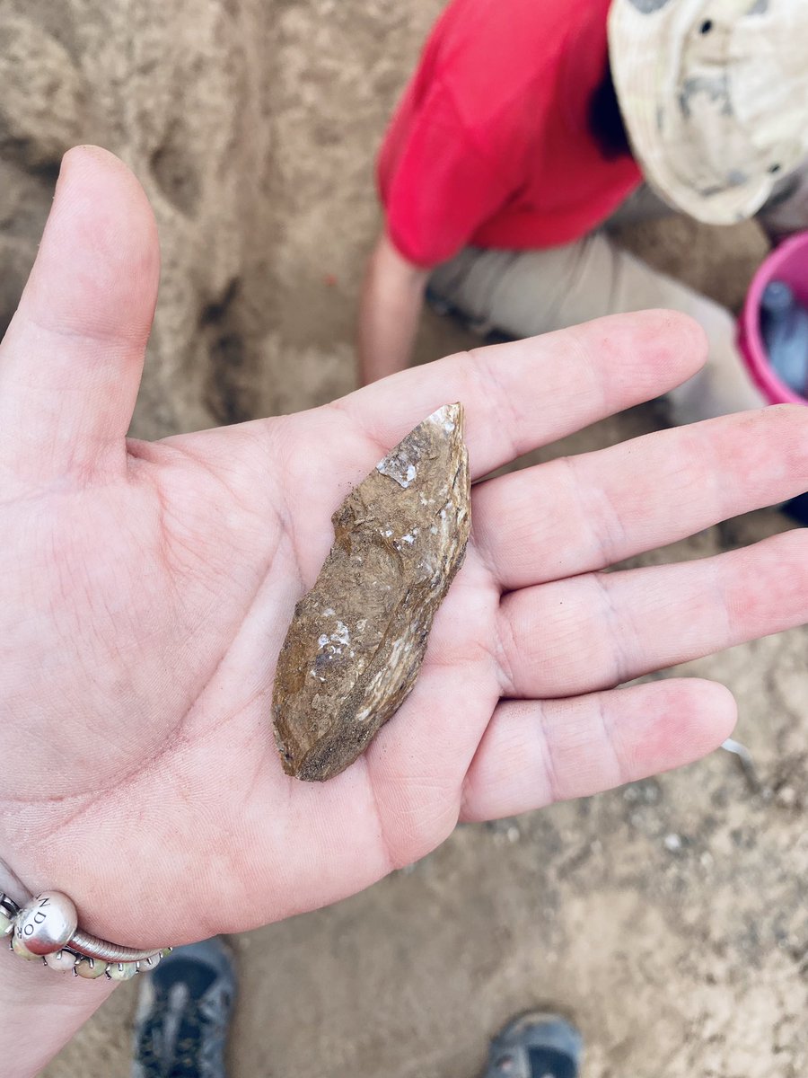 GotArch's tweet photo. #PointOfTheDay at Gotera β€οΈβπ₯π€ πͺ¨ #MSA #Ethiopia #FlintFriday @EnzaSpinapolice @MariannaFusco5 https://t.co/iIBgvKcENn