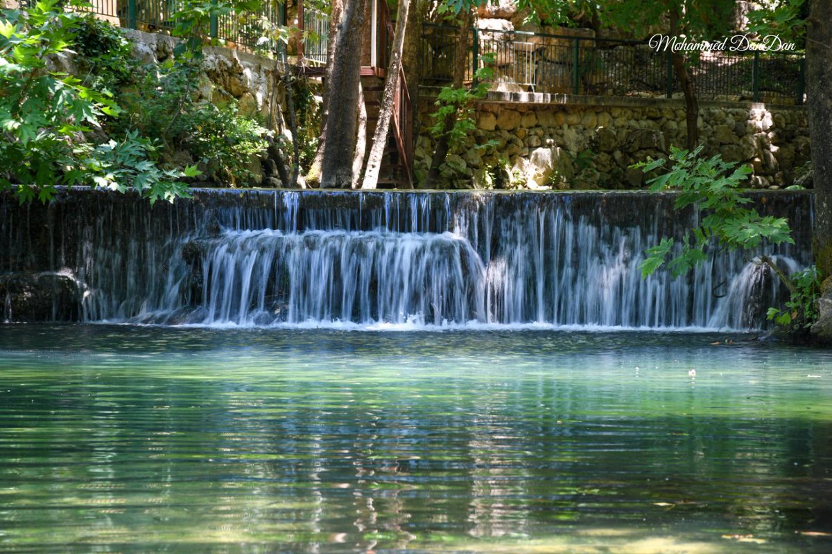 Dreams are made to come true.