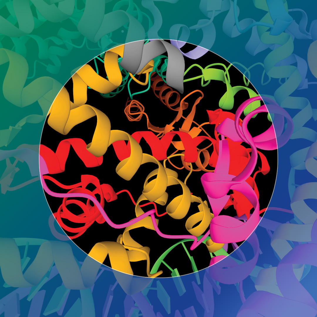 emblebi's tweet photo. 3D-Beacons: a platform that brings together experimentally determined and predicted protein structure models and related data from several providers including #AlphaFoldDB and makes them freely available, all in one place. #alphafold 

https://t.co/JDAJqGB5UW https://t.co/gwhnBHmoMQ