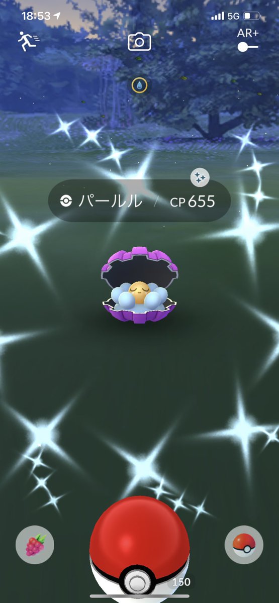 ポケモンgo パールルの入手方法 能力 技まとめ 攻略大百科 ポケモンgo パールルの入手方法 能力 技まとめ 攻略大百科